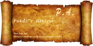 Pekár Albina névjegykártya